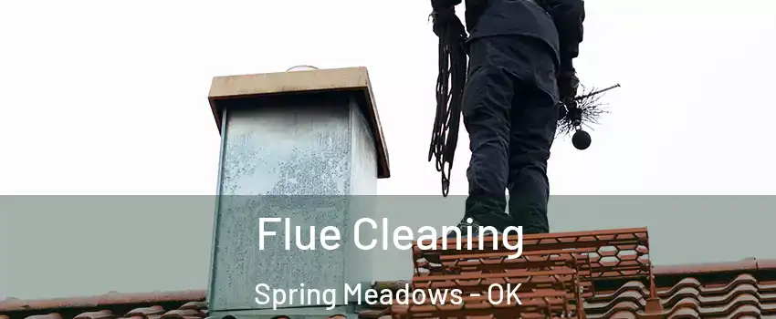 Flue Cleaning Spring Meadows - OK