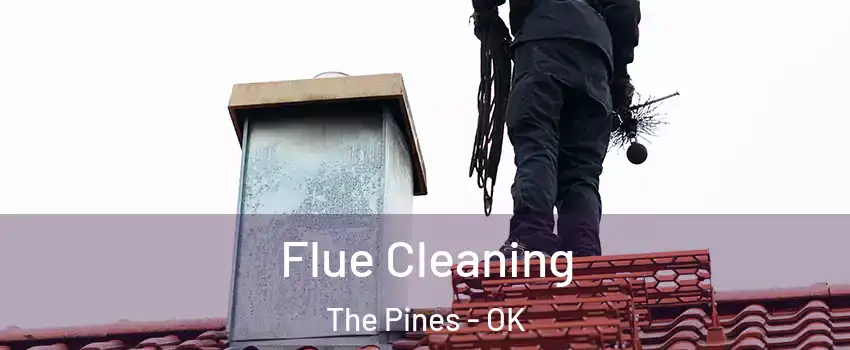 Flue Cleaning The Pines - OK