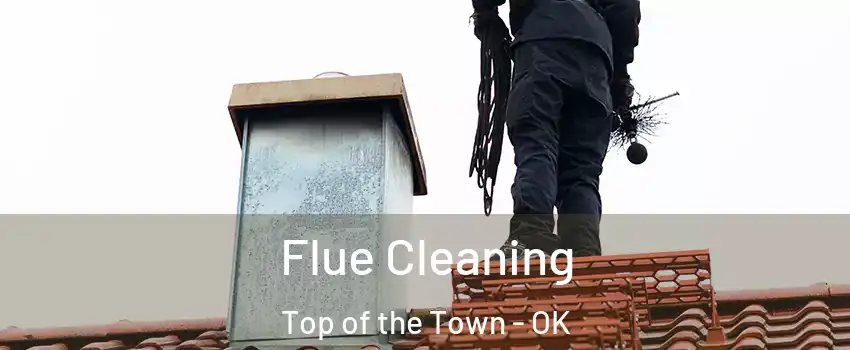 Flue Cleaning Top of the Town - OK