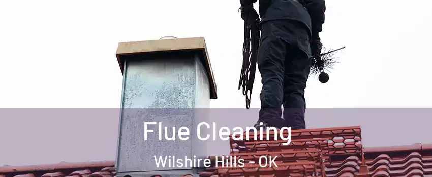 Flue Cleaning Wilshire Hills - OK