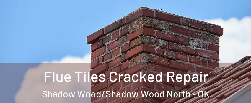 Flue Tiles Cracked Repair Shadow Wood/Shadow Wood North - OK