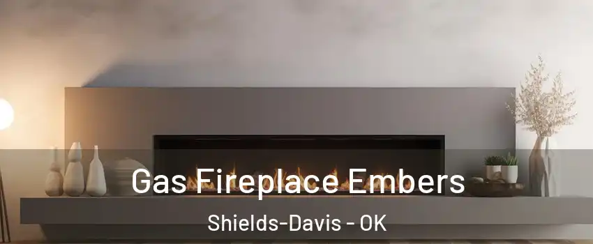 Gas Fireplace Embers Shields-Davis - OK