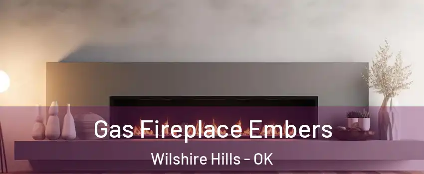 Gas Fireplace Embers Wilshire Hills - OK