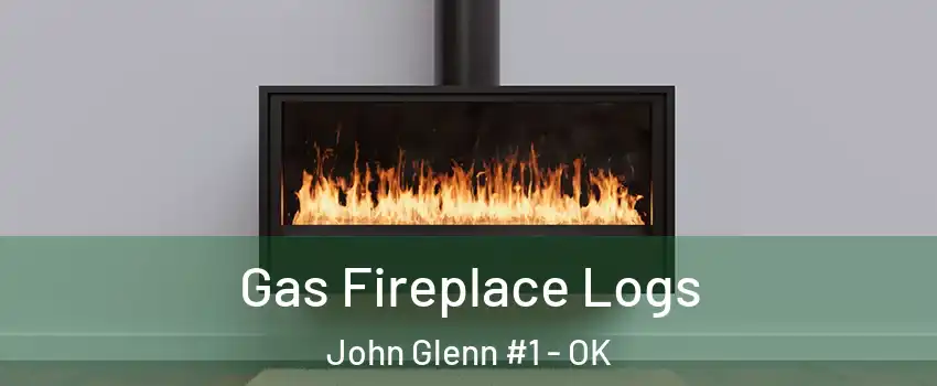 Gas Fireplace Logs John Glenn #1 - OK