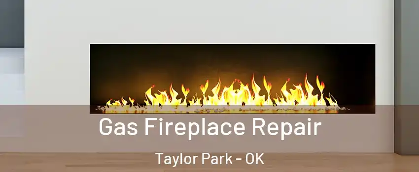 Gas Fireplace Repair Taylor Park - OK