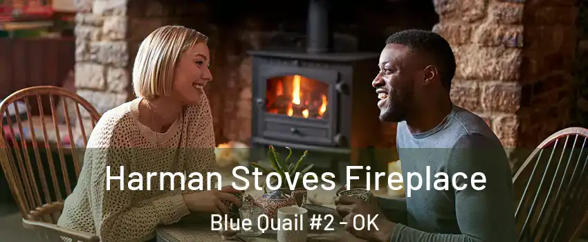 Harman Stoves Fireplace Blue Quail #2 - OK