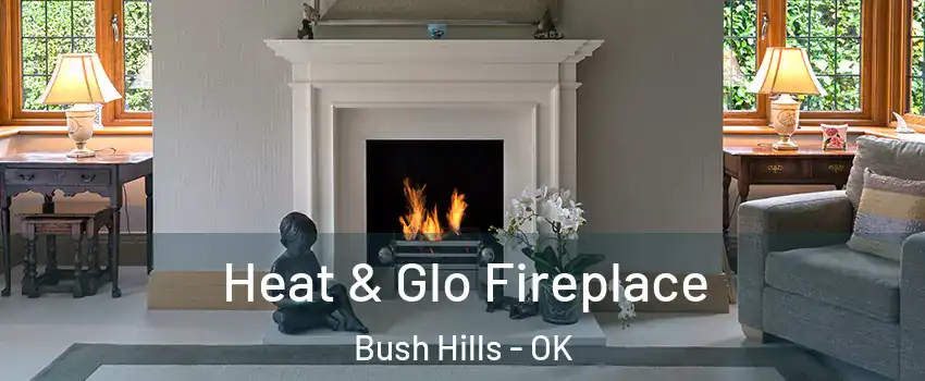 Heat & Glo Fireplace Bush Hills - OK