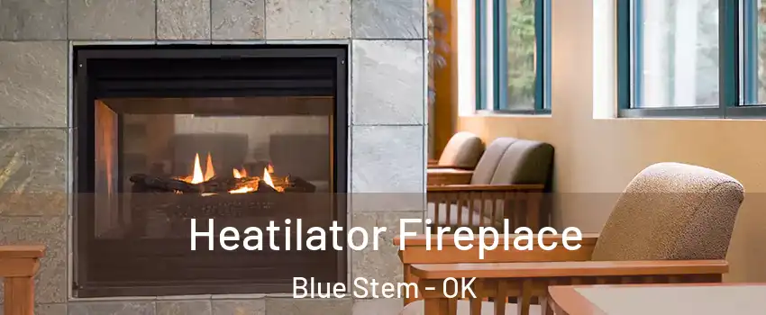 Heatilator Fireplace Blue Stem - OK