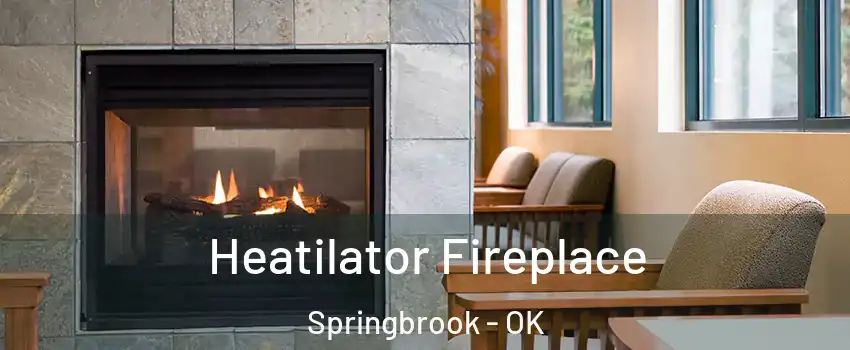 Heatilator Fireplace Springbrook - OK