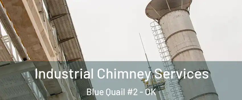 Industrial Chimney Services Blue Quail #2 - OK