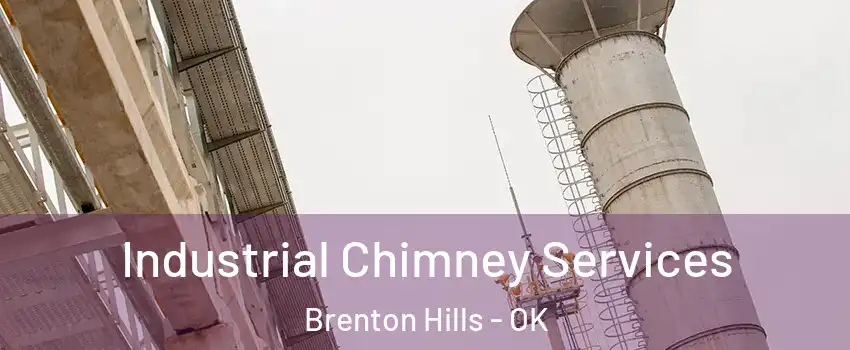 Industrial Chimney Services Brenton Hills - OK