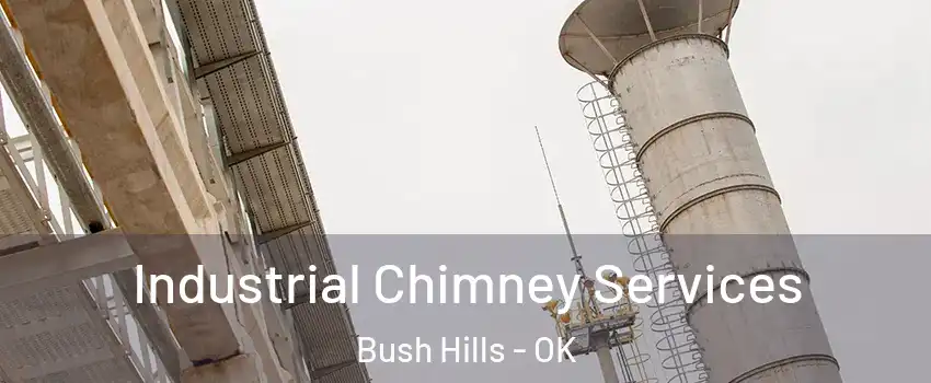 Industrial Chimney Services Bush Hills - OK