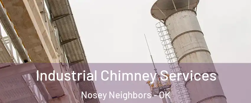 Industrial Chimney Services Nosey Neighbors - OK