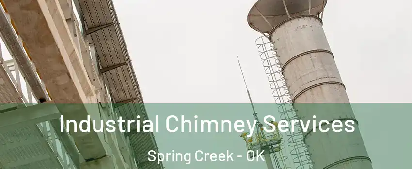 Industrial Chimney Services Spring Creek - OK