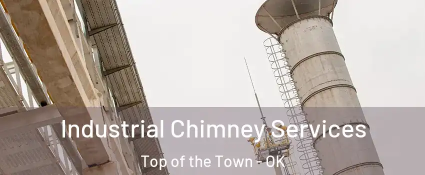 Industrial Chimney Services Top of the Town - OK