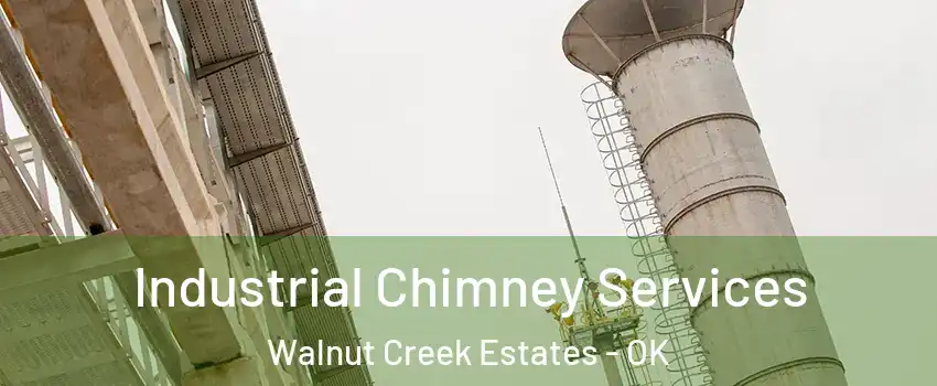 Industrial Chimney Services Walnut Creek Estates - OK