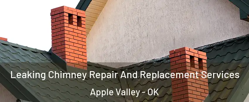 Leaking Chimney Repair And Replacement Services Apple Valley - OK