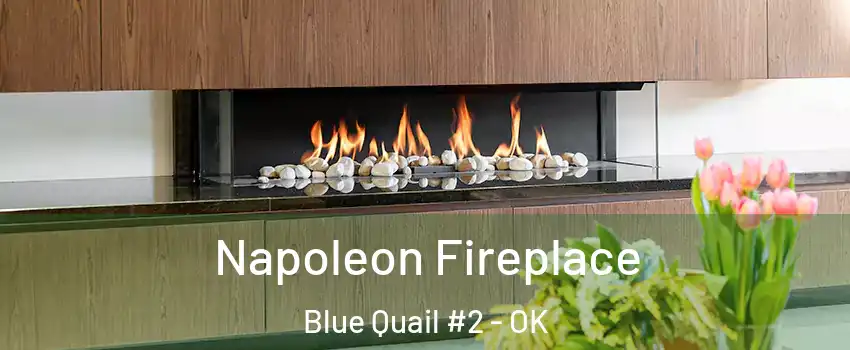 Napoleon Fireplace Blue Quail #2 - OK