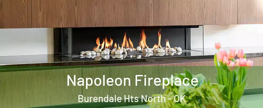 Napoleon Fireplace Burendale Hts North - OK