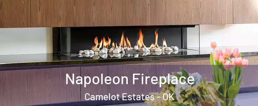 Napoleon Fireplace Camelot Estates - OK