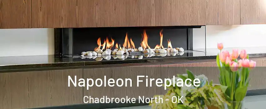 Napoleon Fireplace Chadbrooke North - OK