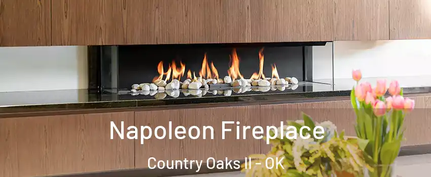 Napoleon Fireplace Country Oaks II - OK