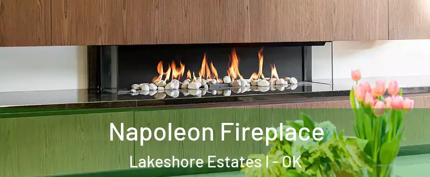 Napoleon Fireplace Lakeshore Estates I - OK