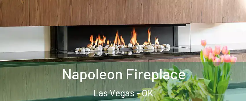 Napoleon Fireplace Las Vegas - OK