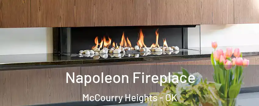 Napoleon Fireplace McCourry Heights - OK