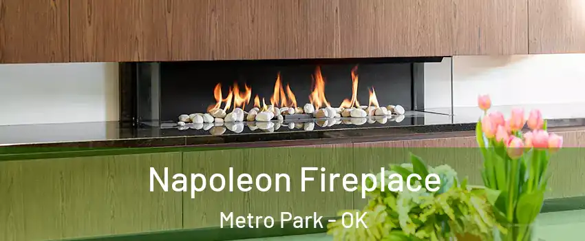 Napoleon Fireplace Metro Park - OK