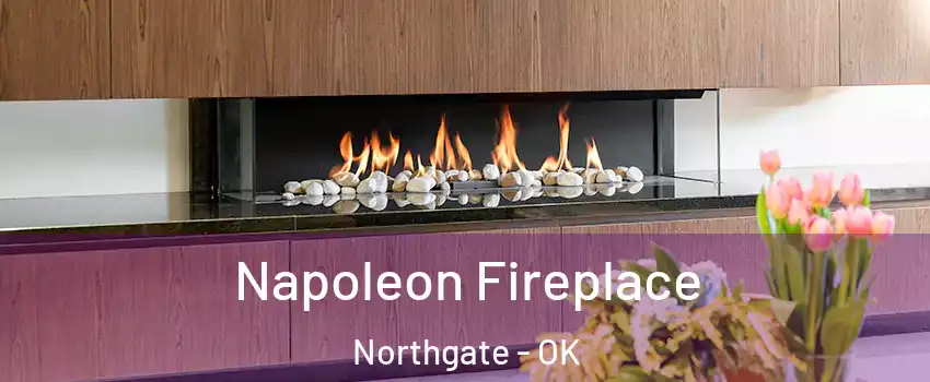 Napoleon Fireplace Northgate - OK