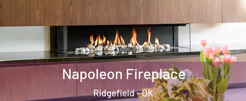 Napoleon Fireplace Ridgefield - OK