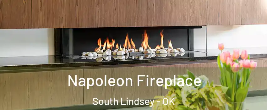 Napoleon Fireplace South Lindsey - OK