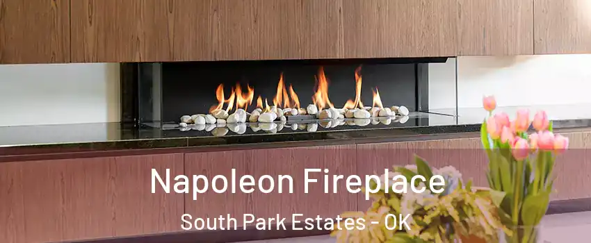 Napoleon Fireplace South Park Estates - OK