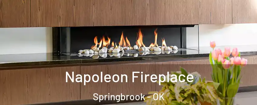 Napoleon Fireplace Springbrook - OK