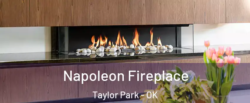 Napoleon Fireplace Taylor Park - OK