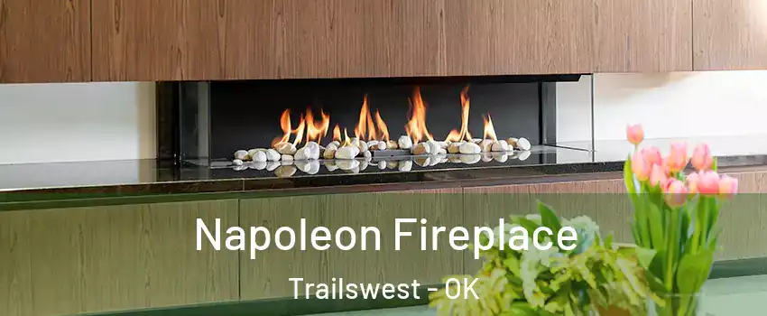 Napoleon Fireplace Trailswest - OK