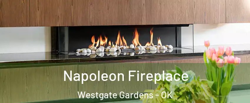 Napoleon Fireplace Westgate Gardens - OK