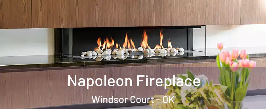 Napoleon Fireplace Windsor Court - OK