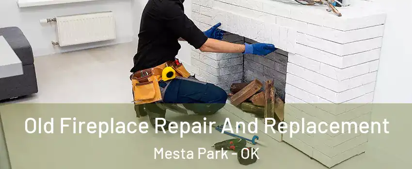 Old Fireplace Repair And Replacement Mesta Park - OK