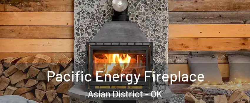 Pacific Energy Fireplace Asian District - OK