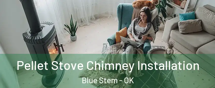 Pellet Stove Chimney Installation Blue Stem - OK