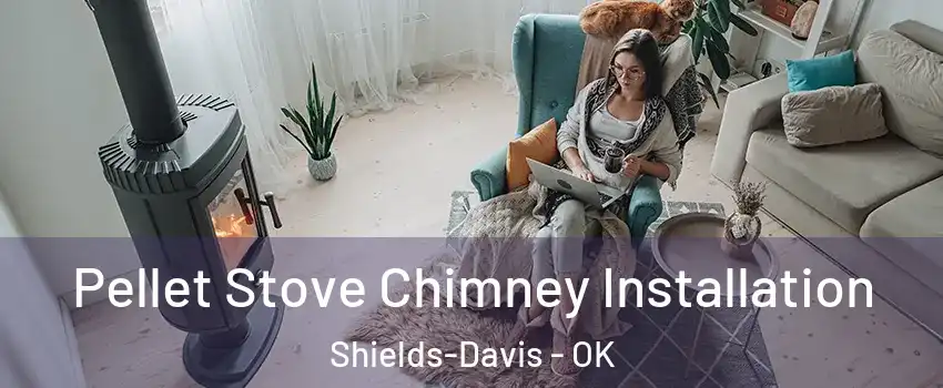 Pellet Stove Chimney Installation Shields-Davis - OK