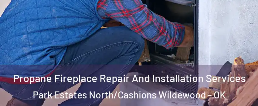 Propane Fireplace Repair And Installation Services Park Estates North/Cashions Wildewood - OK