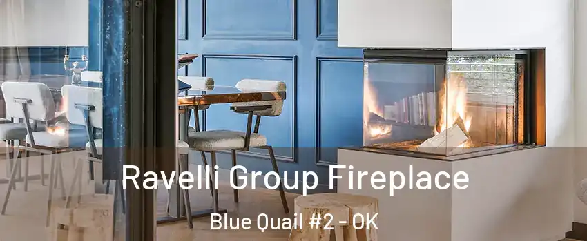 Ravelli Group Fireplace Blue Quail #2 - OK