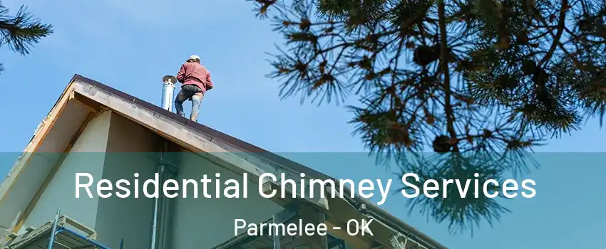 Residential Chimney Services Parmelee - OK