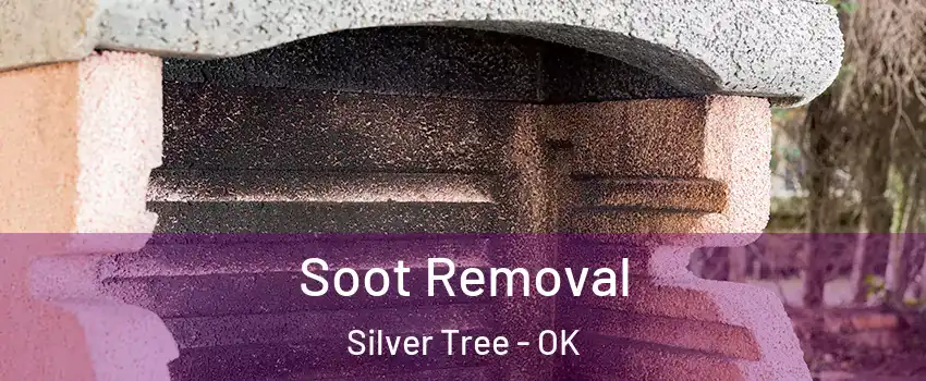 Soot Removal Silver Tree - OK