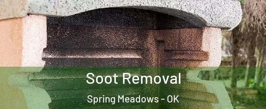 Soot Removal Spring Meadows - OK