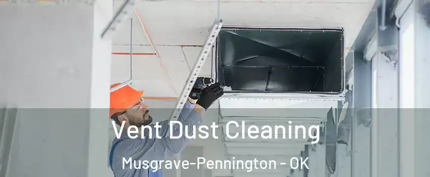 Vent Dust Cleaning Musgrave-Pennington - OK