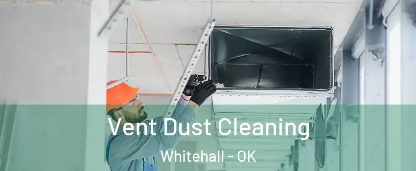 Vent Dust Cleaning Whitehall - OK